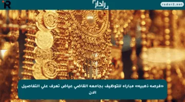 «فرصة ذهبية» مباراة للتوظيف بجامعة القاضي عياض تعرف على التفاصيل الآن